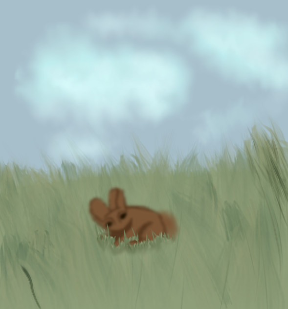 bunny