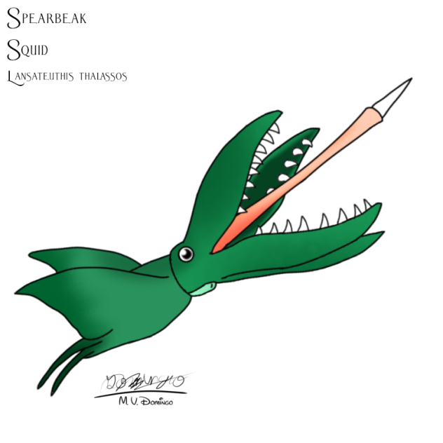 Spearbeak Squid
