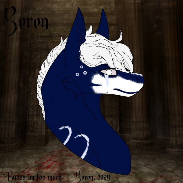 - Seren Headshot -