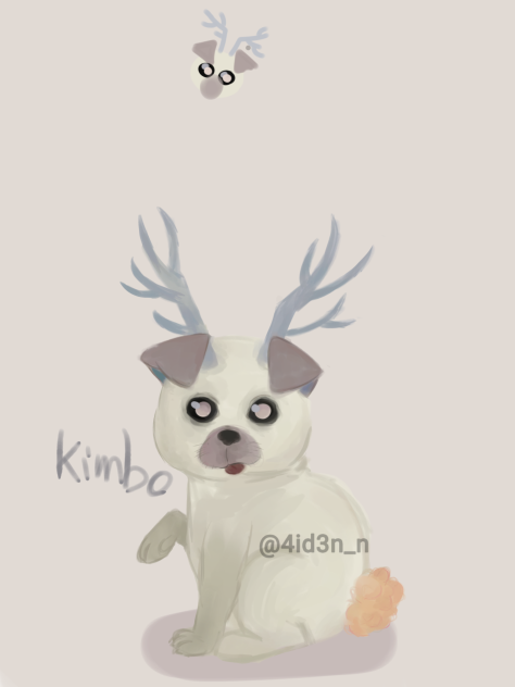 its name is kimbo