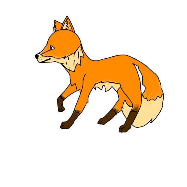Fox…