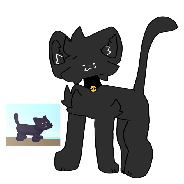 SIXES CAT😊