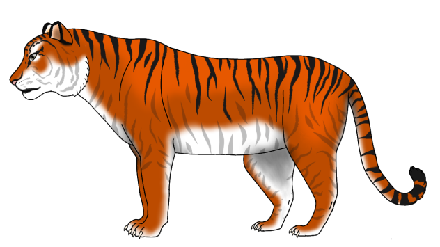 Reinachan Tiger render