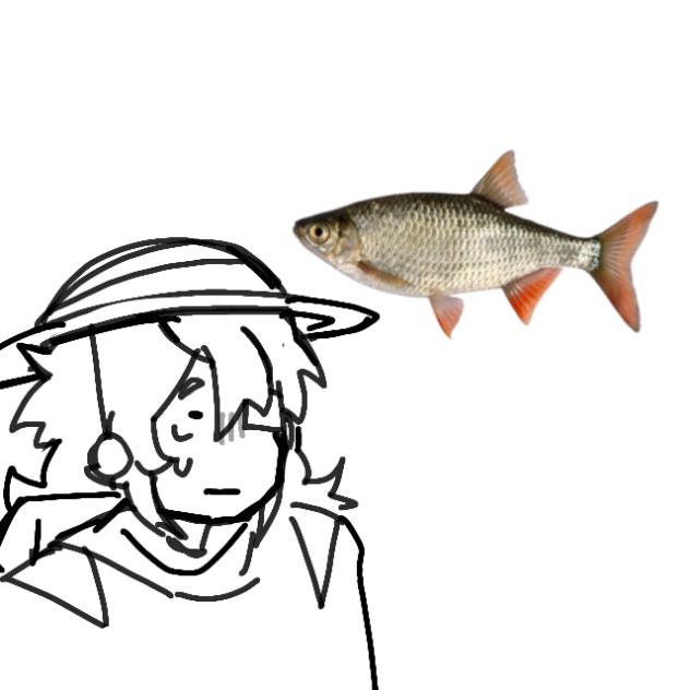 My oc gets hit by a flying fish