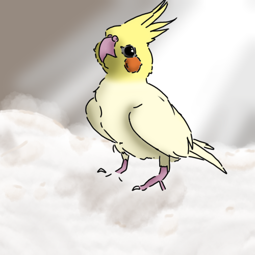 つくね、