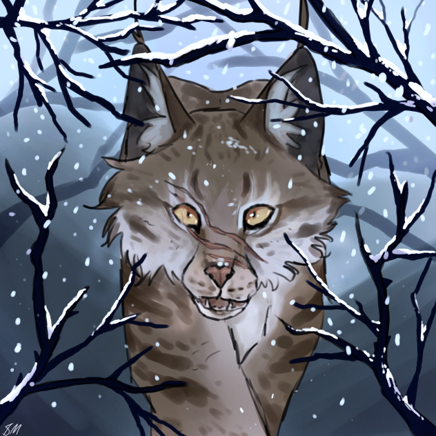 🌨️