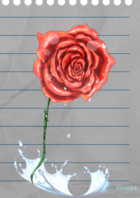 Art br 39 - Uma rosa