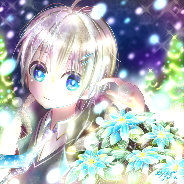 水色ポインセチア