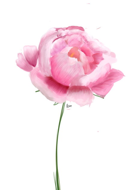 flower - ibisPaint
