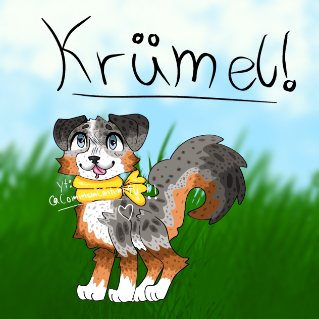Cartoony Australian Shepherd