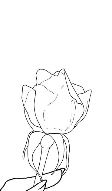 薔薇ワインで夕日に乾杯 線画