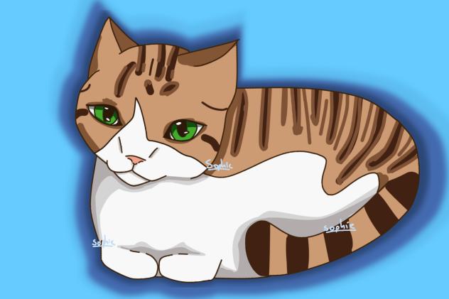 Pixel yay