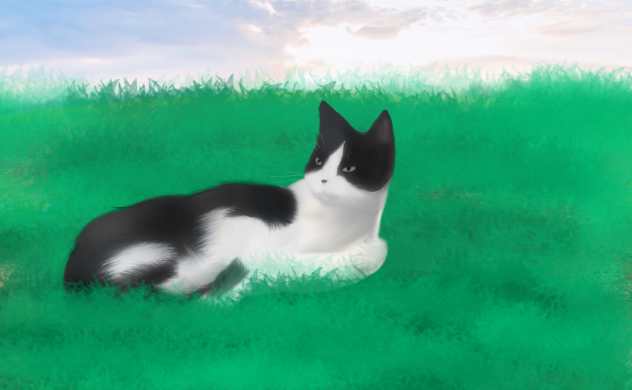 6 - ibisPaint