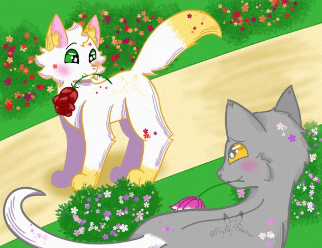 Flowers for U 🌹🌸