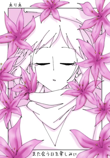 君に花言葉を　ネリネ