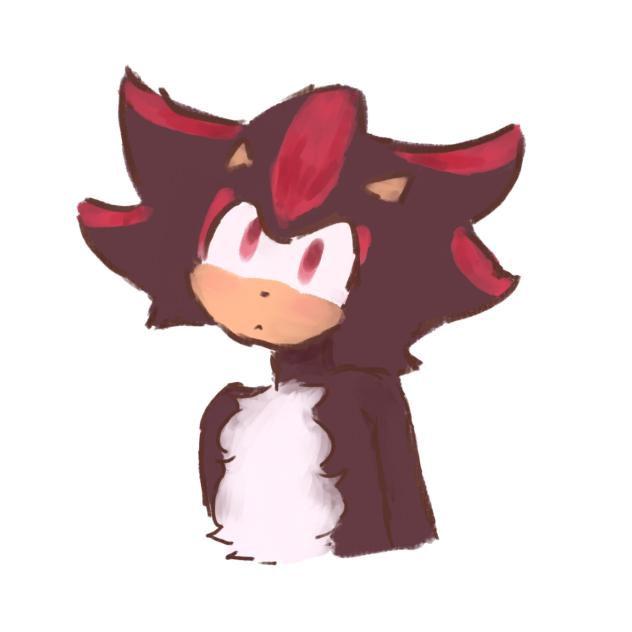 shadow 🦔
