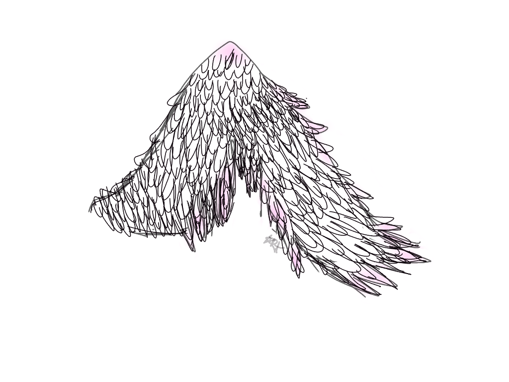 I try to make wings ibisPaint