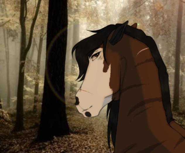 ~ Jasons Redesign ~