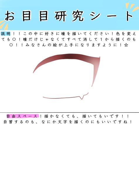 お目目研究シート！！