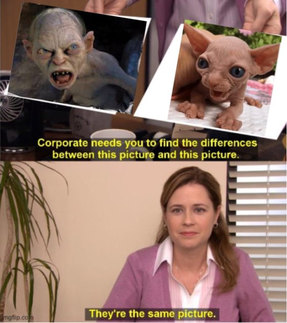 My first meme
