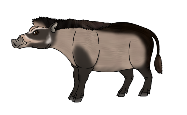 Visayan Warty Pig
