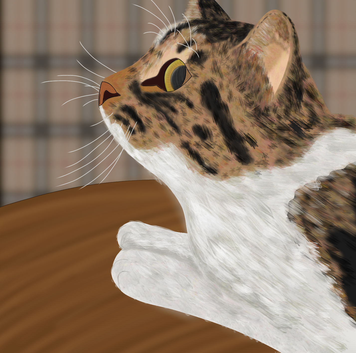 cat - ibisPaint