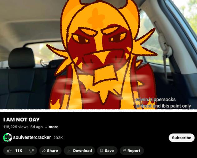 I AM NOT GAY ‼️‼️