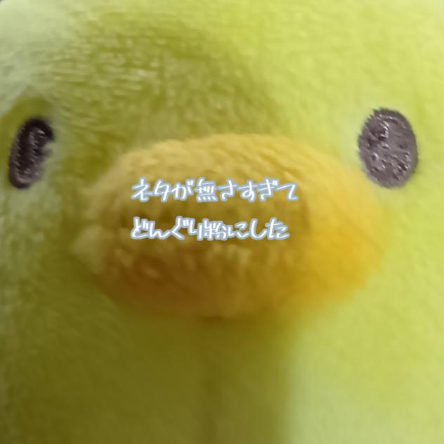 すごい動いた。ネタ動画