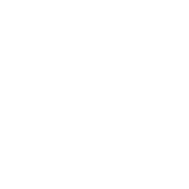 Lace borders(white)