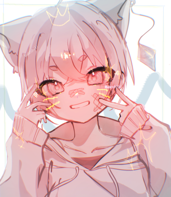ぶい！！