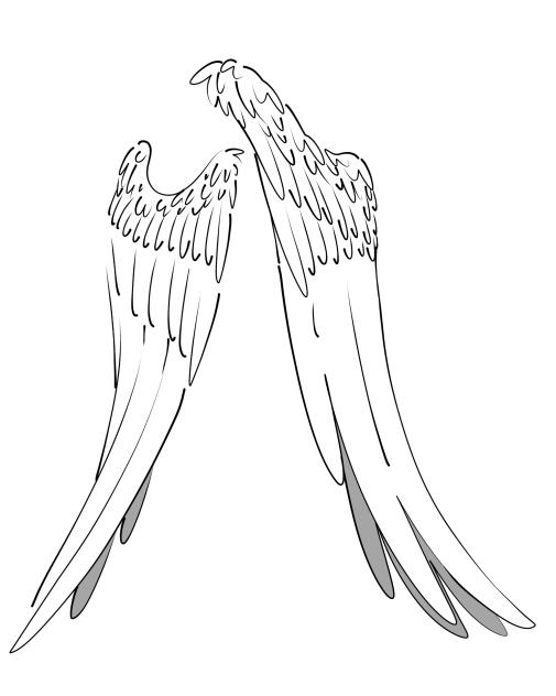 wings #6