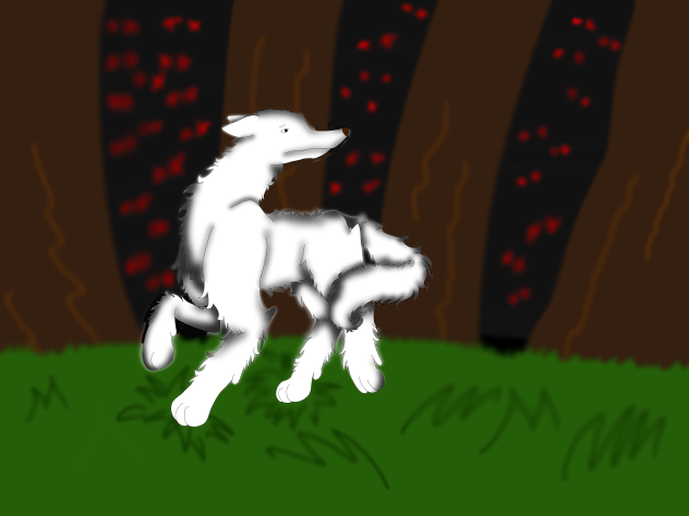 Wolf roaming the night