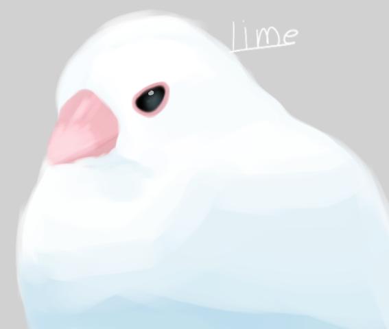文鳥