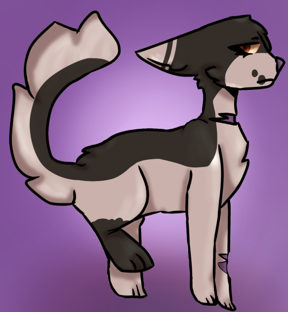 tallstar redesign
