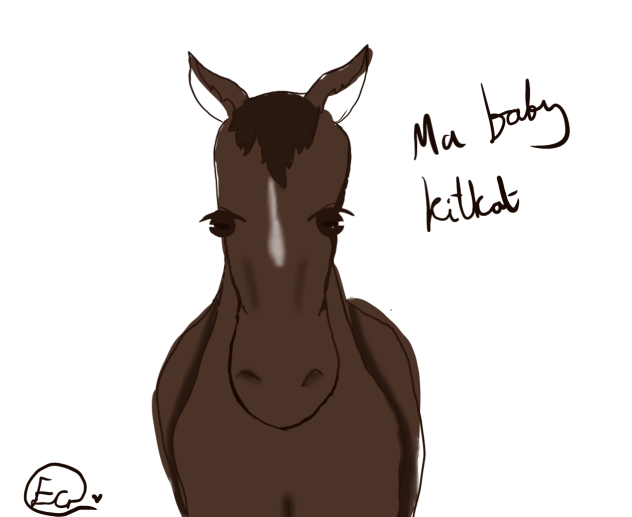 Ma baby Kitkat 😍😍😍