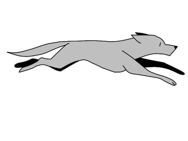Dog Animation