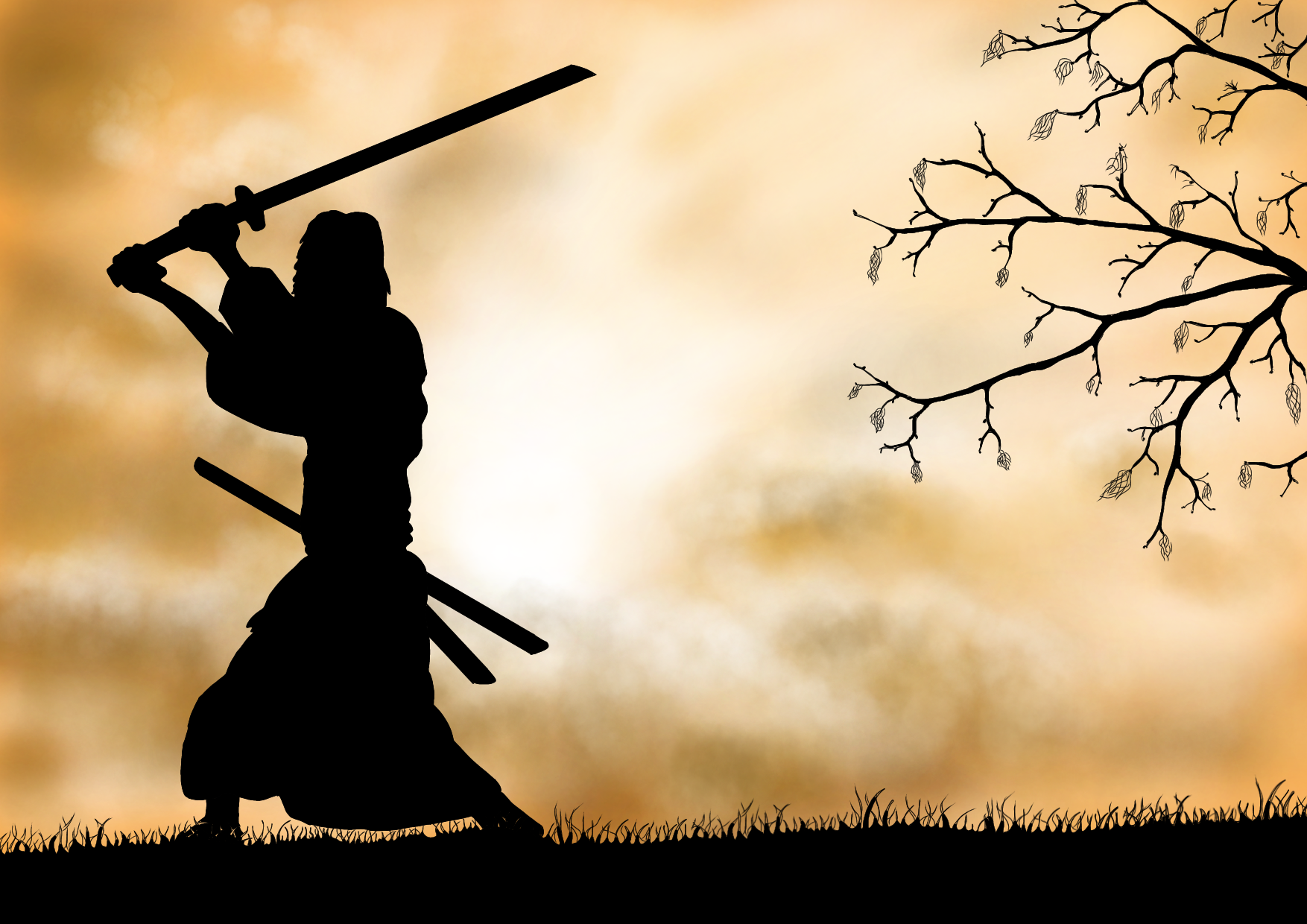 Samurai at sunset - ibisPaint