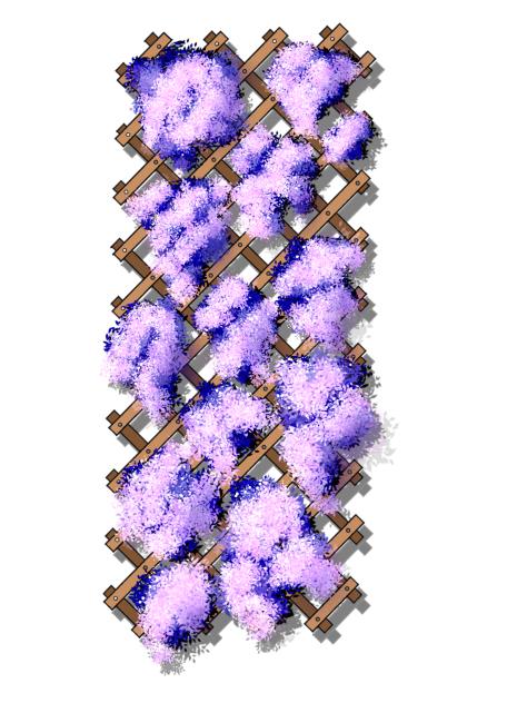 plant vertical decoration