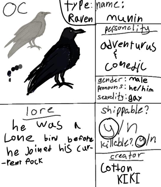 CS for Birds of a Feather 🪶