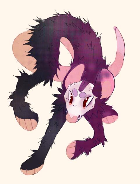 Possum adopt!