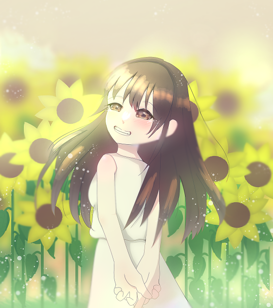 🟡ひまわり🟨