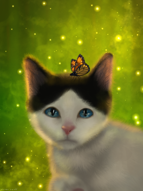 Kitten and butterfly
