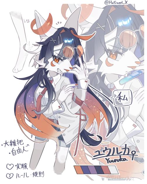 資料O