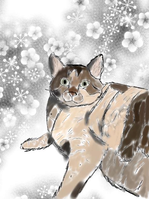 Rest In Peace tinny (cat artwork)
