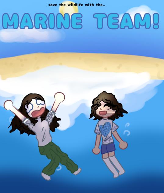 MS booklet cover