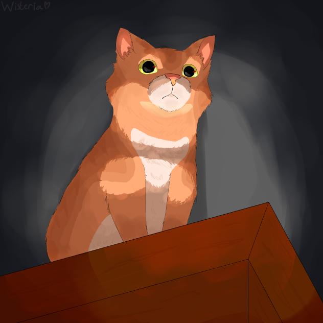 ✨️✨️🐈🐈👹👹✨️✨️