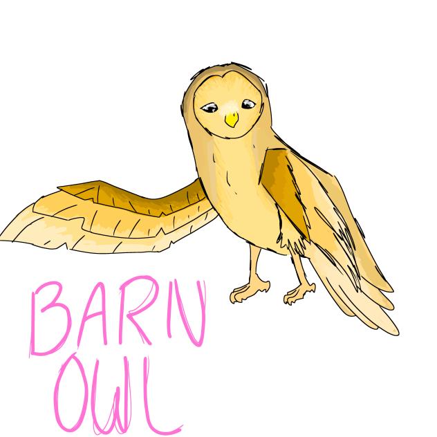 BETTER BARN OWL X3
