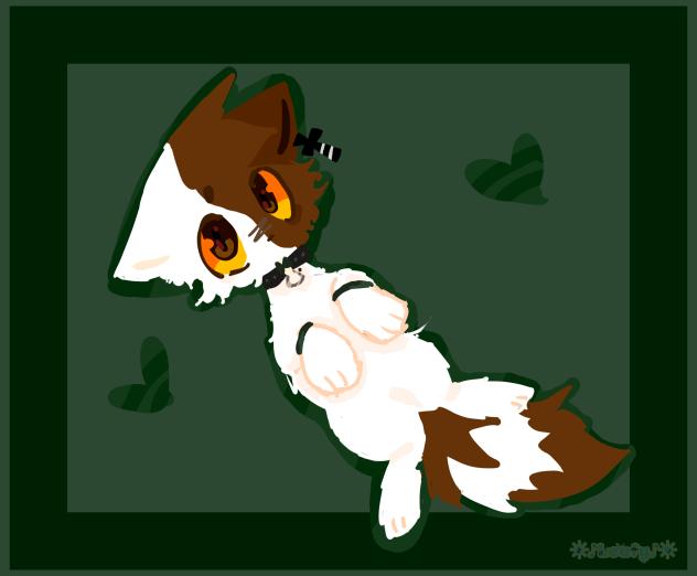 ♢♣︎Lil cato ★♡