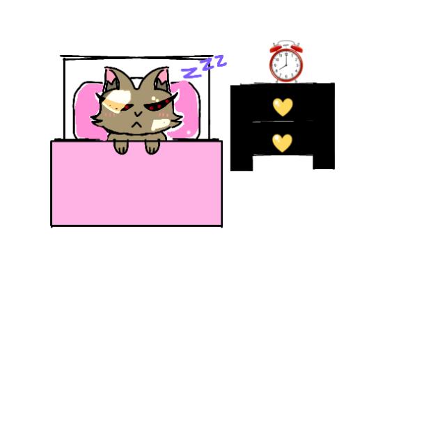 cat animation  not finished