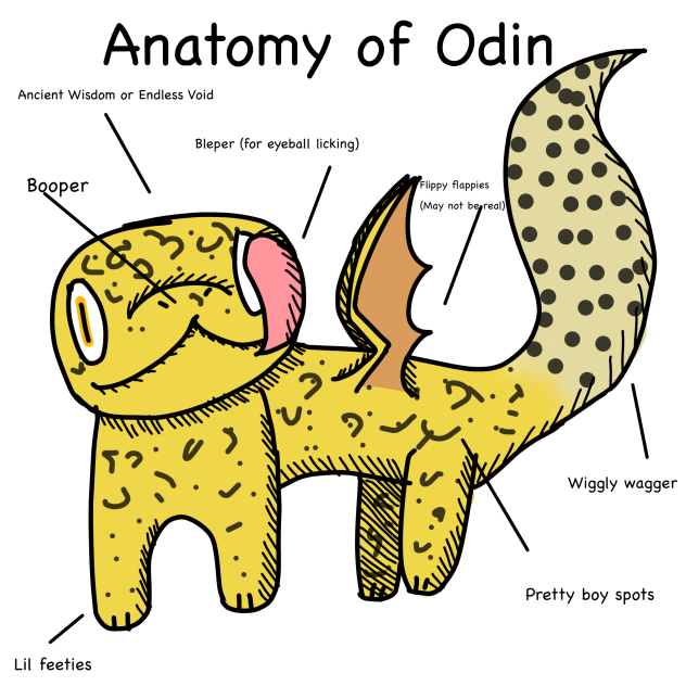 Anatomy of Odin